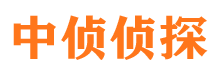 吴川出轨调查